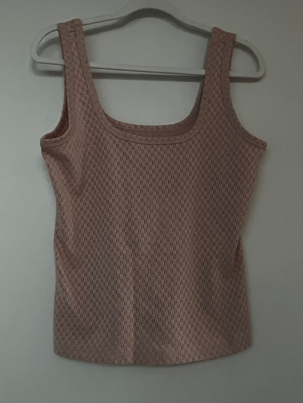 Everlane Pointelle Knit Cami